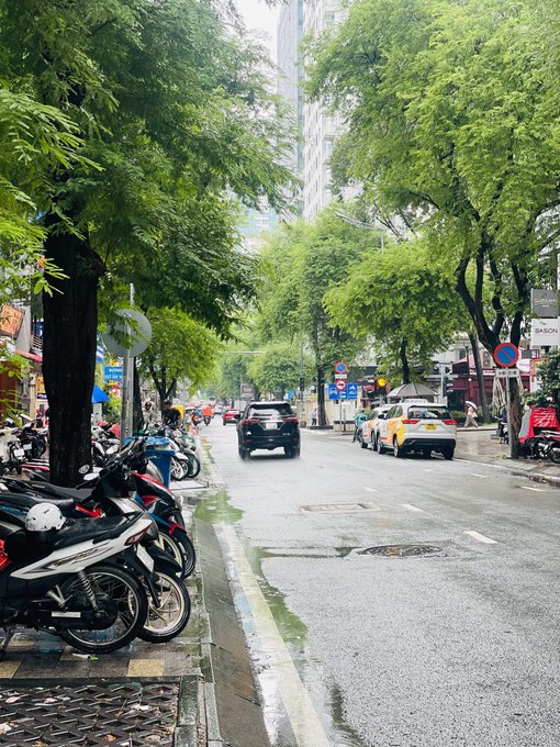 A tree-lined city street with parked motorcycles along the sidewalk, cars driving on the wet pavement, and buildings visible in the distance.
