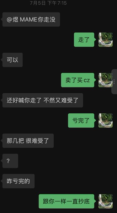 A Chinese-language WeChat conversation dated July 5, 7:15 PM, where users discuss selling assets and losing money trading a stock labeled 'MAME,' with messages including '亏完了' (lost everything) and '跟你一样一直抄底' (just like you, kept bottom-fishing).