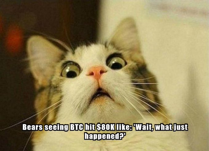 A wide-eyed surprised-looking cat meme captioned 'Bears seeing BTC hit $80K like: "Wait, what just happened?"'.