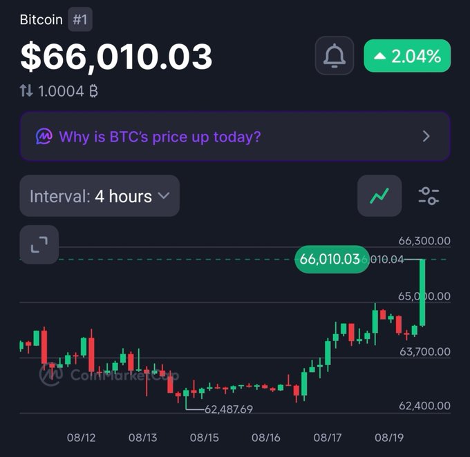 A CoinMarketCap chart shows BTC trading at $66,010.03, up 2.04% in a 4-hour interval, with price action from 08/12 to 08/19 ranging between a low of $62,487.69 and reaching toward $66,300.00, visually confirming the post's claim that "Bitcoin is back at $66,000. Higher."