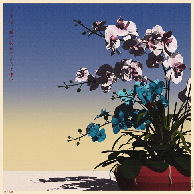 A stylized illustration of pink and blue orchids in a pot against a blue-to-yellow gradient sky, with Japanese text on the left side and "夕方の光" (Evening light) at the bottom left.