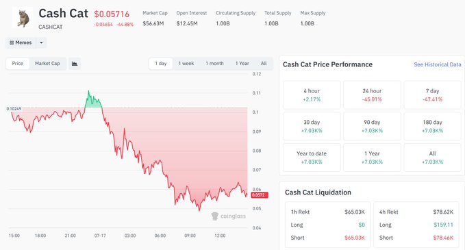 A CoinGecko price page for the meme token "Cash Cat" (CASHCAT) shows its price at $0.05716 with a -44.88% decline and a downward red price chart.