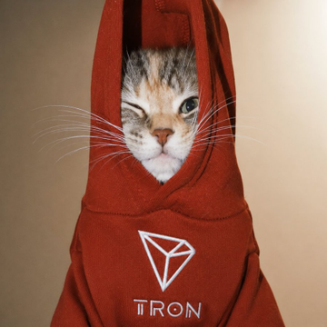 A cat's face peeks out from inside a red TRON hoodie, which features the TRON logo on the front.