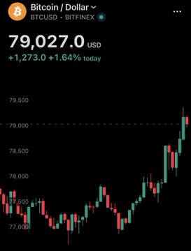 A Bitcoin price chart showing BTCUSD at $79,027.00 on BITFINEX, up $1,273.00 (+1.64%) today, with a candlestick chart displaying upward price movement.