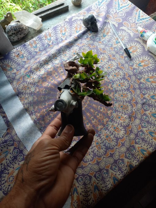 A hand holds a small surreal figurine with an old-fashioned dial telephone for a head, topped with green succulent plants, displayed on a purple patterned tablecloth.