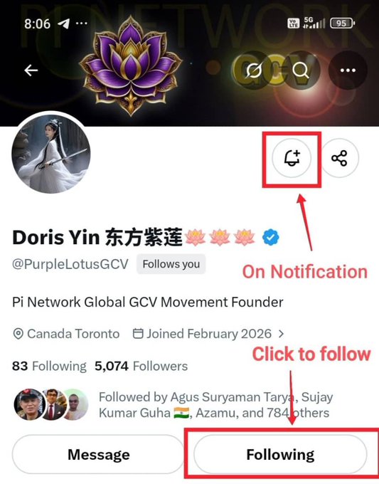 A screenshot of a Twitter/X profile for "Doris Yin 东方紫莲" (@PurpleLotusGCV), with red arrows and boxes highlighting the "Following" button and a notification bell icon labeled "On Notification."