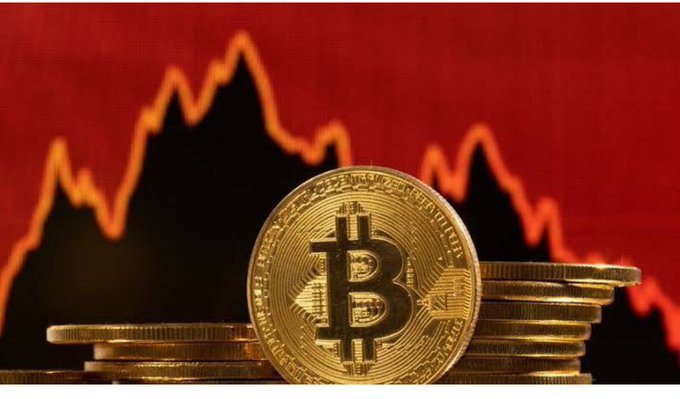 A stack of gold Bitcoin coins in the foreground set against a red background displaying a dramatic downward-trending line graph.