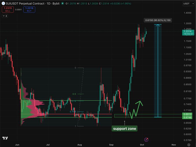 A daily SUIUSDT perpetual contract chart on Bybit shows SUI rallying from a support zone around $0.67–$0.69 to a current price of $1.2315, with an annotation projecting a 90.92% gain to $1.6150, visually illustrating the "going absolutely vertical" momentum described in the caption.