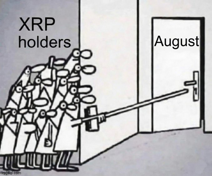 The image shows a meme featuring a group of cartoon characters labeled "XRP holders" collectively using a long pole to reach and try to open a door labeled "August." It humorously depicts XRP holders anxiously and eagerly trying to reach the month of August, tying into the post's anticipation of "August incoming."