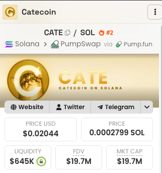 This image shows the details of Catecoin ($CATE) on Solana, including its price at $0.02044 USD and a market cap of $19.7M. The post celebrates a user's success in "bagworking" the coin, starting with a sub-$1M market cap, which has now reached $19.7M.