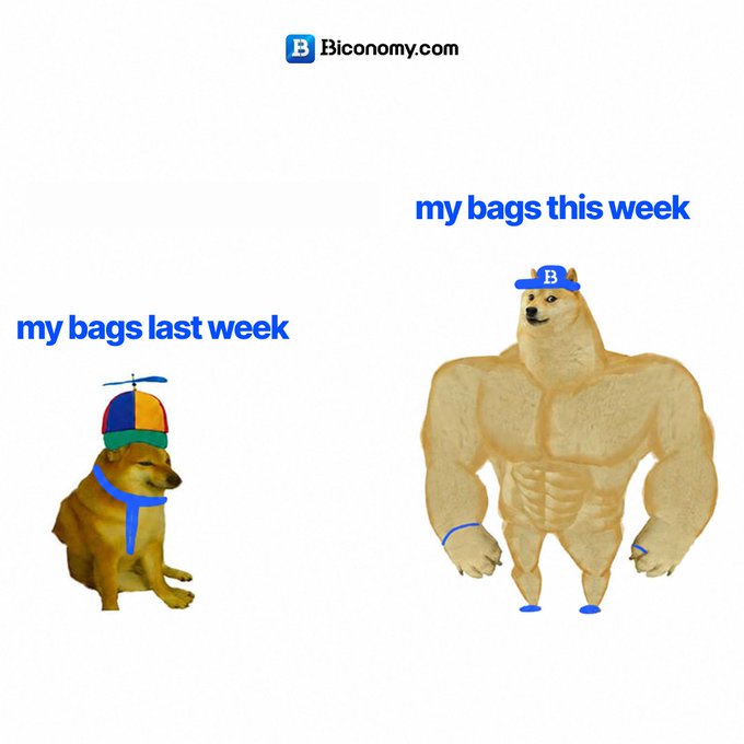 Bconomy.com meme featuring the 'Swole Doge vs. Cheems' format, contrasting 'my bags last week' (small dog with propeller hat) with 'my bags this week' (muscular dog wearing a Bconomy cap).