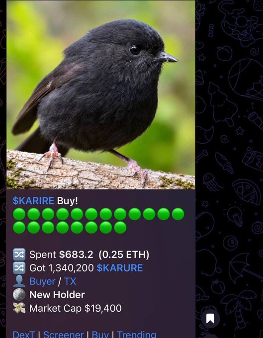 A meme token page showing a black bird photo with '$KARIRE Buy!' and green emoji indicators, noting 'Spent $683.2 (0.25 ETH)', 'Got 1,340,200 $KARURE', and 'Market Cap $19,400'.