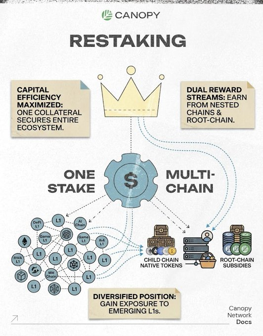 An infographic from Canopy titled 'RESTAKING' that explains the concept with sections on 'CAPITAL EFFICIENCY MAXIMIZED: ONE COLLATERAL SECURES ENTIRE ECOSYSTEM,' 'DUAL REWARD STREAMS: EARN FROM NESTED CHAINS & ROOT-CHAIN,' 'ONE STAKE MULTI-CHAIN,' and 'DIVERSIFIED POSITION: GAIN EXPOSURE TO EMERGING L1s,' showing a diagram of interconnected L1 blockchains.