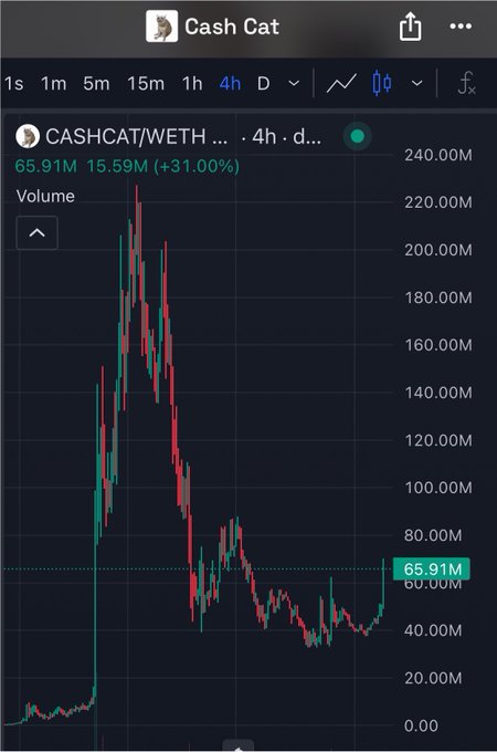 A TradingView chart for Cash Cat (CASHCAT/WETH) showing a 4-hour price action with a +31.00% change and volume of 65.91M.