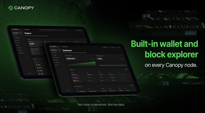 Promotional banner for Canopy featuring two tablet screenshots of a Dashboard and Explorer interface, with the text 'Built-in wallet and block explorer on every Canopy node' and 'Test node screenshots. Not live data.'