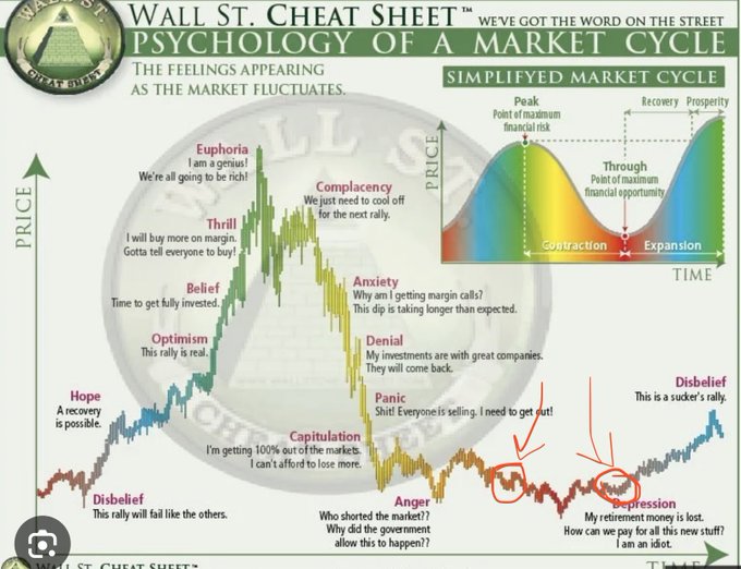 An infographic titled 'Wall St. Cheat Sheet: Psychology of a Market Cycle' showing a chart of price fluctuations over time with emotional stages labeled, including Hope, Optimism, Belief, Thrill, Euphoria, Complacency, Anxiety, Denial, Panic, Capitulation, Anger, Depression, and Disbelief.