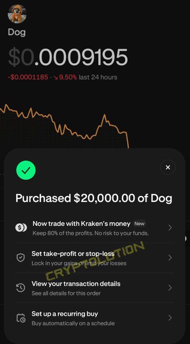 A mobile crypto trading screenshot showing a purchase confirmation of $20,000.00 of "Dog" (Dogecoin) at $0.0009195, which is down 9.50% in the last 24 hours, overlaid with "CRYPTONATION".