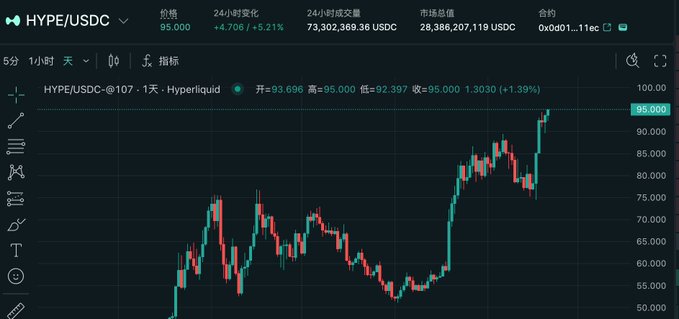 TradingView candlestick chart for HYPE/USDC trading pair showing price at 95.000 with a 4.706 (+5.21%) 24-hour change on Hyperliquid.