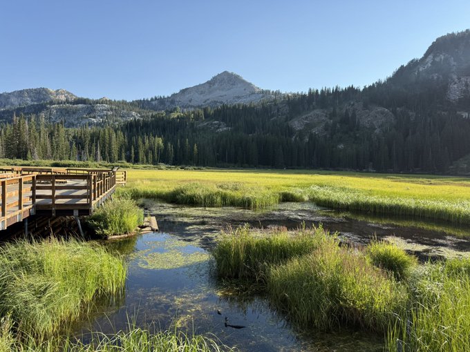 A scenic landscape features a wooden boardwalk bridge over a marshy wetland with a stream, surrounded by green grasses, dense pine forests, and rocky granite mountains under a clear blue sky.