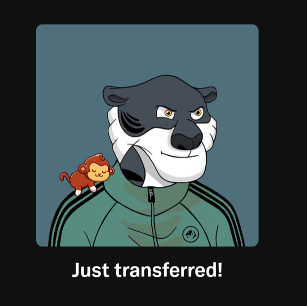 A cartoon illustration of a badger-like character in a green jacket with a small monkey on its shoulder, captioned "Just transferred!"