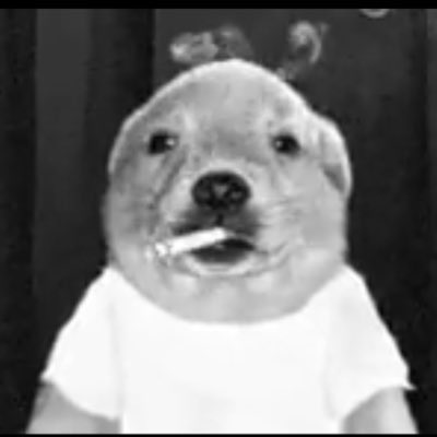 A black-and-white image of a golden retriever with a cigarette in its mouth stares directly at the camera.