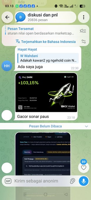 A screenshot of a mobile chat application in Indonesian showing messages in a 'diskusi dan pnl' group, including a cryptocurrency advertisement for 'PnL DARK' showing +103.15% and references to OKX Wallet.