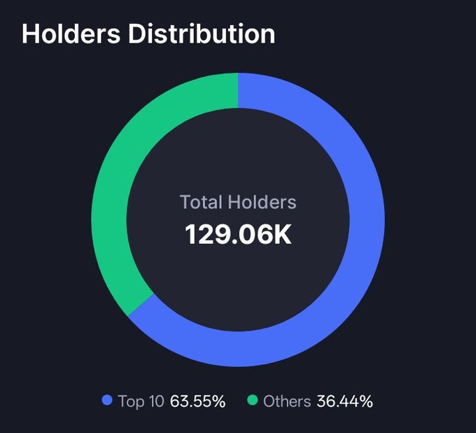 A donut chart titled "Holders Distribution" displays a total of 129.06K holders, with the top 10 holding 63.55% (blue) and others holding 36.44% (green), illustrating the post's point that while over 129,000 holders back the $ANSEM project, wealth concentration among the top 10 suggests room for broader community participation.