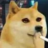 A close-up photograph of a Shiba Inu dog's face, showing its alert expression and brown eyes.