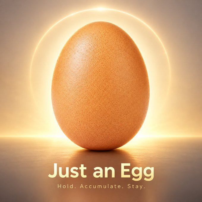 A minimalist 3D render of a plain brown egg against a glowing halo, with the text 'Just an Egg' and 'Hold. Accumulate. Stay.' at the bottom.