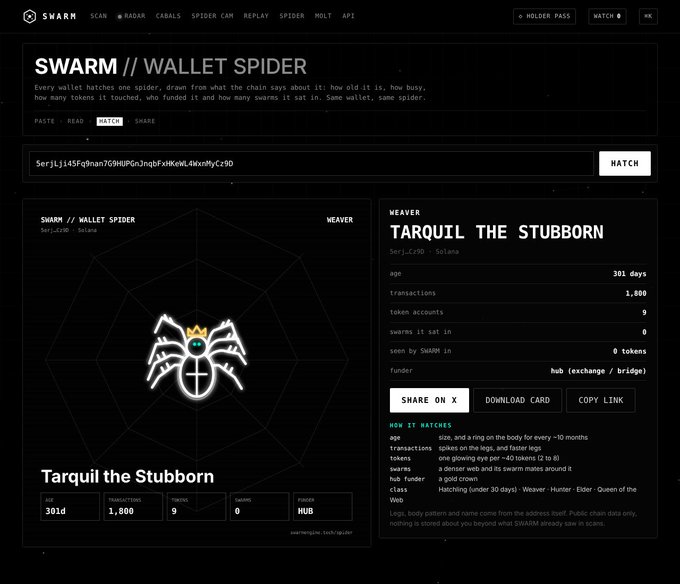 A dark-themed web interface for 'SWARM // WALLET SPIDER' displays a spider logo and details for 'TARQUIL THE STUBBORN', showing an age of 301 days, 1,800 transactions, and a Solana wallet address.