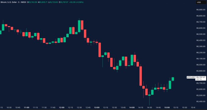 The image shows a line graph of Bitcoin's price over time. The Bitcoin price has been decreasing since January, with a downward trend that started at around $67,000 in January and continued until December. The price dropped below $66,000 on December 31st. This information is relevant to the post because it provides context about the current state of Bitcoin's value compared to its peak in January 2016.