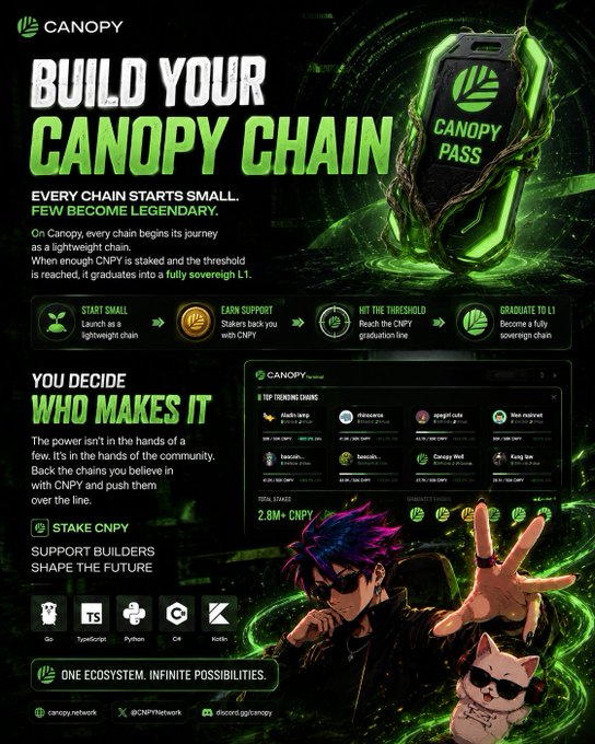 Promotional poster for 'Canopy' cryptocurrency project featuring 'BUILD YOUR CANOPY CHAIN' text, a Canopy Pass NFT, and explaining staking mechanics.