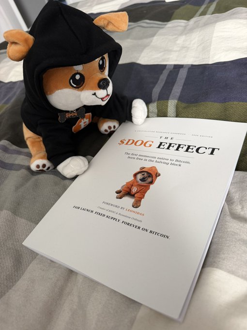 A plush dog toy wearing a black hoodie sits next to a book titled 'THE $DOG EFFECT' with the subtitle 'The first memecoin native to Bitcoin. Pups live in the hashing block,' authored by Leonidas.