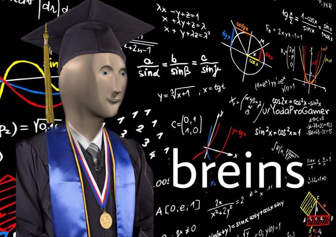 The image features a man dressed up as a graduation figure wearing a cap, gown, and medal. Behind him there's an array of graphs and numbers related to academics or finance. The title "BREINS" is prominently displayed at the bottom right corner.