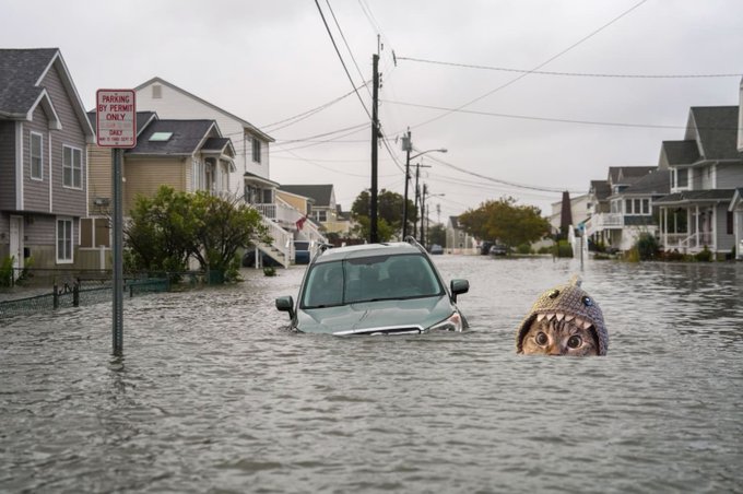 A flooded residential street shows a partially submerged SUV next to a 'PARKING ANY TIME' sign, with a strange creature wearing a knitted hat emerging from the water.