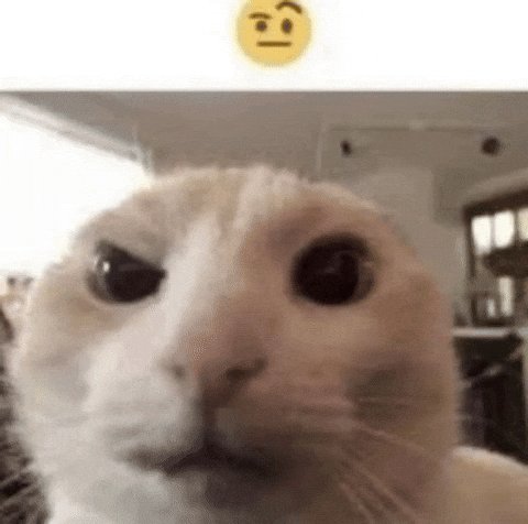 None