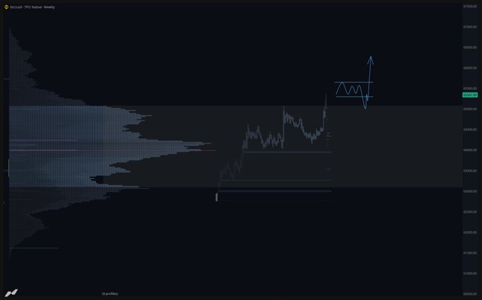 A Bitcoin/USD daily chart titled 'TPO Market - Weekly' displays significant price volatility with horizontal volume profile indicators on the left.