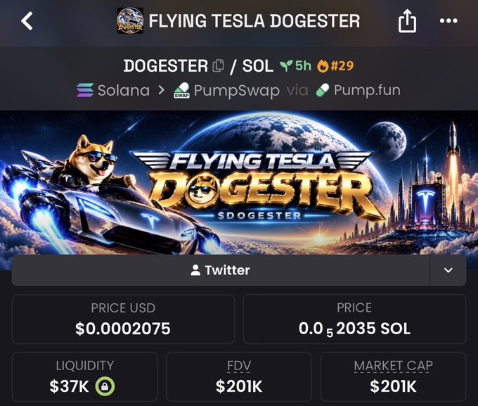 A screenshot of a cryptocurrency tracker page displays "FLYING TESLA DOGESTER" ($DOGESTER/SOL) on the Solana blockchain via PumpSwap/Pump.fun, showing a price of $0.0002075, a market cap of $201K, and FDV of $201K. The banner features a Shiba Inu mascot in a Tesla-themed spaceship alongside a futuristic Tesla rocket launch, visually supporting the post's claim about the token's Elon Musk-inspired "Flying Tesla and Doge" theme.