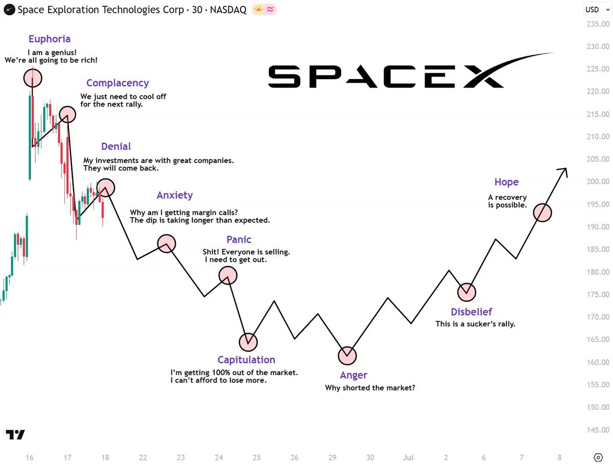 The image shows a line graph depicting fluctuations in stock prices for the company Space Exploration Technologies Corp (SPCX). The graph depicts the highs, lows, and overall trends of SPCX's stock value over several months from September through December. The lines on the graph show varying patterns representing the changing dynamics of the company's stock price movements. The accompanying post explains that this is a stock chart showing how SPCX's stock has performed over the past year.