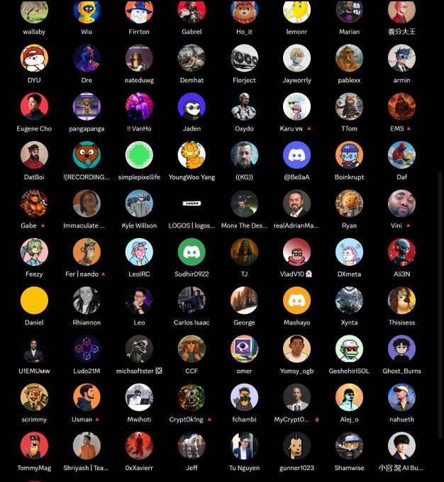 A grid of Discord user avatars and usernames including wallaby, Wiu, Firton, Gabrel, and many others.