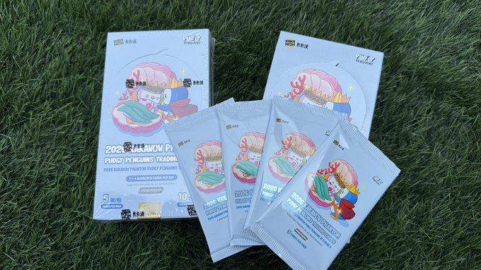 Boxes and individual packets of '2025 FANMEETING PUDGY PENGUIN'S TRADING' branded snacks featuring a cute penguin in a shark hat rest on artificial grass.