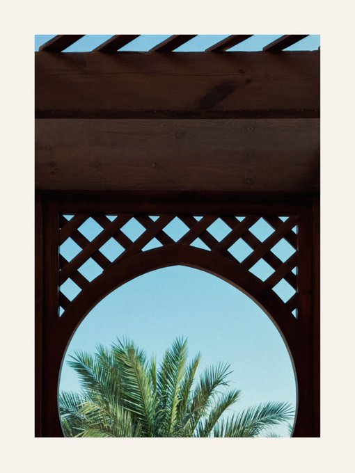 A view through a dark wooden pergola with an arched lattice opening, framing palm tree fronds against a clear blue sky.