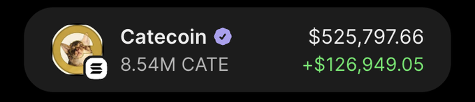 The image shows a Catecoin ($CATE) portfolio tracker displaying a value of $525,797.66 with an 8.54M CATE balance and a gain of +$126,949.05. This aligns with the post's sentiment about enduring the memecoin's volatile ups and downs, as the +$126,949.05 gain reflects the kind of extreme swings the user describes after holding through countless dips and pumps.