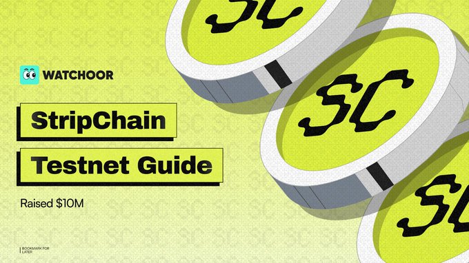 A promotional graphic for Watchoor's 'StripChain Testnet Guide' noting 'Raised $10M', featuring stylized coins marked with the 'S' logo on a yellow-green background.