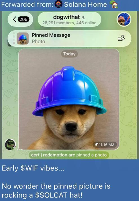 A Telegram channel screenshot from 'dogwifhat' (28,291 members, 446 online) showing a pinned message with a photo of a Shiba Inu puppy wearing a blue hard hat, accompanied by text reading 'Early $WIF vibes... No wonder the pinned picture is rocking a $SOLCAT hat!'