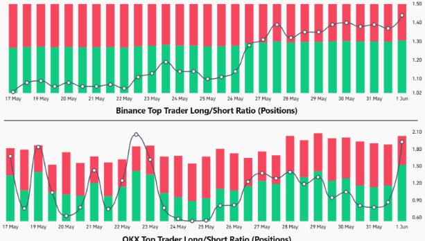 The image shows a graph with two lines representing the Bitcoin market over time. The x-axis represents dates from January to December, while the y-axis displays the value of Bitcoin in US dollars. The first line represents the price of Bitcoin on January 1st and the second line represents its price on December 31st. Both lines show a downward trend, indicating a decline in Bitcoin's value over time. However, despite this decline, large traders and institutional participants have continued to build long positions in Bitcoin derivatives markets.