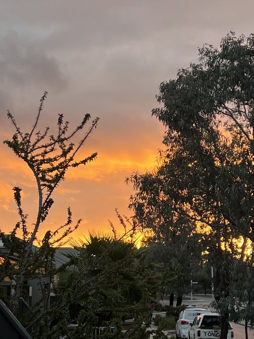 A sunset sky with orange and pink hues visible behind silhouetted trees and rooftops.