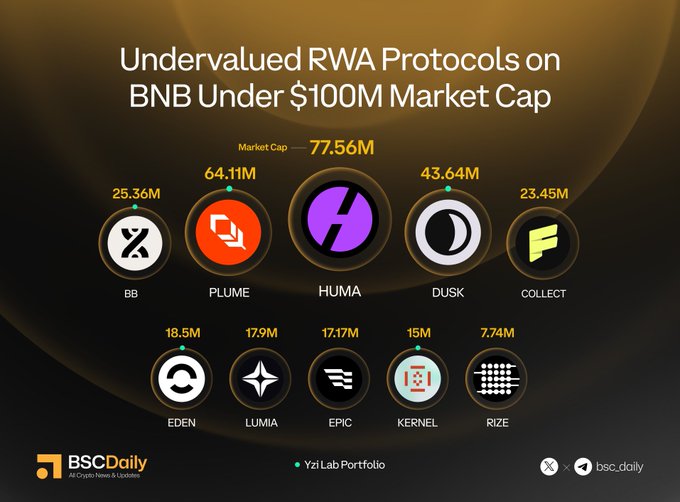 The image presents an infographic detailing the undervalued RWA protocols currently available on BNB's Market Cap cap. There are twelve different protocols listed, each represented by a unique symbol accompanied by its corresponding market cap figure (75.56m, 44.4m, 19.86m, 27.7m). The infographic also provides information about each protocol and the companies behind them, making it easier for investors to understand the current state of RWA opportunities on BNB.