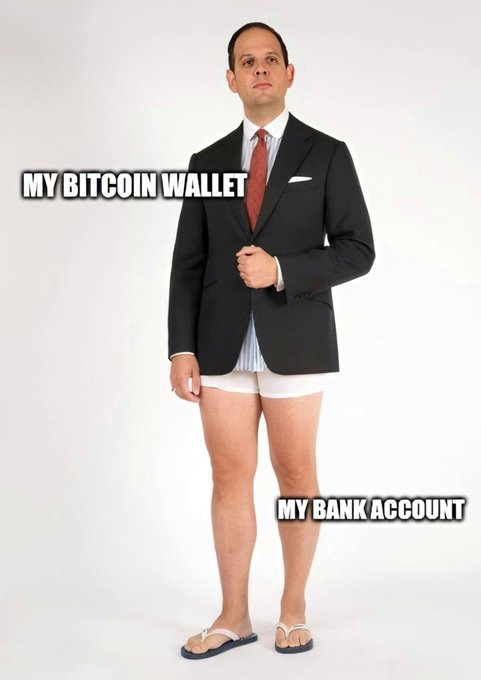 A meme showing a man dressed in formal suit jacket, tie, and underwear with flip-flops, labeled with text indicating his top half represents 'MY BITCOIN WALLET' and his bare bottom half represents 'MY BANK ACCOUNT'.