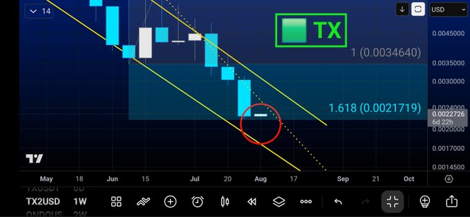 A TradingView chart for the TX2USD pair showing a descending channel pattern in blue and yellow, with a red circle highlighting recent price action near the 1.618 Fibonacci level at 0.0021719.